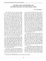 Trí thức Việt Nam đối diện với văn minh phương Tây thời thuộc Pháp