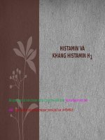 HISTAMIN và THUỐC KHÁNG HISTAMIN h1 ppt _ DƯỢC LÝ
