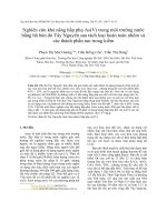 Nghiên cứu khả năng hấp phụ As(V) trong môi trường nước bằng bã bùn đỏ Tây Nguyên sau tách loại hoàn toàn nhôm và các thành phần tan trong kiềm