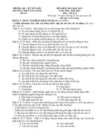 Đề thi học kì 1 môn Vật lí 8 năm 2020-2021 có đáp án - Trường THCS Tân Long