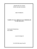 Nghiên cứu quy trình sản xuất bromelain từ phế phẩm dứa  