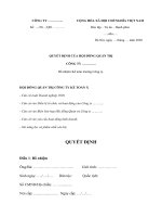 Mẫu Quyết định bổ nhiệm Kế toán trưởng