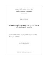 Nghiên cứu thực nghiệm ứng xử của cột bê tông cốt thép bị cháy  