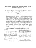 Nghiên cứu ảnh hưởng của phân bón nano kim loại đến chủng vi khuẩn Pseudomonas sp. 52
