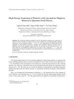 High Energy Scattering of Particles with Anomalous Magnetic  Moment in Quantum Field Theory
