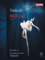 Tchaikovsky Swan Lake