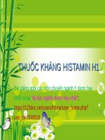 THUỐC KHÁNG HISTAMIN h1 ppt _ DƯỢC LÝ