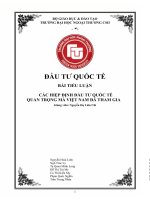 Tiểu luận môn đầu tư quốc tế các hiệp định đầu tư quốc tế quan trọng mà việt nam đã tham gia 