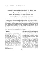 Đánh giá tác động của Acetaminophen lên sự phát triển phôi cá ngựa vằn (Danio rerio)