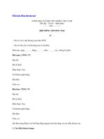 Mẫu hợp đồng kinh doanh thương mại, môi giới thương mại mới chuẩn nhất năm 2020