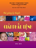 giáo trình giảng dạy lý thuyết môn giải phẫu bệnh trường đh y khoa phạm ngọc thạch biên soạn