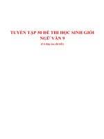 Đề học sinh giỏi môn ngữ văn 9 (có đáp án chi tiết)