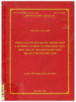 Pháp luật về giải quyết tranh chấp lao động cá nhân và tình hình thực hiện tại các doanh nghiệp trên địa bàn thành phố vinh  
