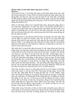 Tải Miêu tả cảnh thiên nhiên sông nước Cà Mau - Văn mẫu tả cảnh lớp 6