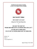 Các quy tắc xuất xứ trong hiệp định EVFTA và những điều cần lưu ý, cơ chế cấp CO mẫu EUR.1 và cơ chế tự chứng nhận xuất xứ hàng hóa