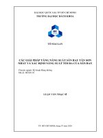 Các giải pháp tăng năng suất sân bay tân sơn nhất và xác định năng suất tối đa của sân bay  
