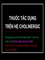 THUỐC tác DỤNG TRÊN hệ CHOLINERGIC ppt _ DƯỢC LÝ