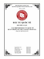 Tiểu luận môn đầu tư quốc tế các hiệp định đầu tư quốc tế quan trọng mà việt nam đã tham gia 