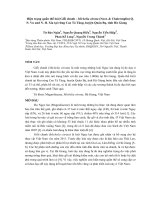 Hiện trạng quần thể loài Giổi chanh - Michelia citrata (Noot. & Chalermglin) Q. N. Vu and N. H. Xia tại rừng Cao Tả Tùng, huyện Quản Bạ, tỉnh Hà Giang