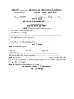 tổng hợp mẫu quyết định bổ nhiệm giám đốc cho công ty cổ phần công ty tnhh 1 thành viên và 2 thành viên mới nhất miễn phí