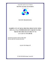 Nghiên cứu sử dụng phương pháp nước nóng nén co2 (co2 compressed hot liquid water) nhằm thu hồi cellulose từ vỏ ca cao và vỏ chuối  