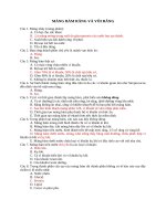 2  MẢNG bám RĂNG và vôi RĂNG