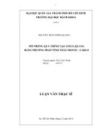Mô phỏng quá trình tạo ảnh x quang bằng phương pháp tính toán monte carlo  