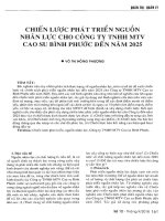 Chiến lược phát triển nguồn nhân lực cho Công ty TNHH MTV Cao su Bình Phước đến năm 2025