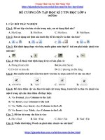 Đề cương ôn tập học kì 2 tin học lớp 6