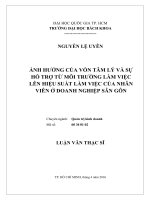 Ảnh hưởng của vốn tâm lý và sự hỗ trợ từ môi trường làm việc lên hiệu suất làm việc của nhân viên ở doanh nghiệp sân gôn  
