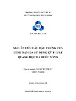 Nghiên cứu các đặc trưng của bệnh nám da sử dụng kỹ thuật quang học đa bước sóng  
