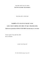 Nghiên cứu sản xuất rượu vang giàu chất chống oxy hóa từ quả thanh long hylocereus polyrhizus bằng nấm men saccharomyces cerevisiae  