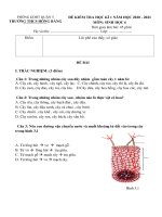Đề thi học kì 1 môn Sinh học 6 năm 2020-2021 có đáp án - Trường THCS Hồng Bàng