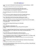 Tải Ngân hàng câu hỏi ôn tập Mô đun 3 - Các dạng câu hỏi tập huấn Module 3