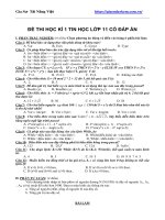 Đề Thi Học Kì 1 Tin Học Lớp 11 Có Đáp Án