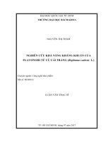 Nghiên cứu khả năng kháng khuẩn của flavonoid từ củ cải trắng (raphanus sativus l )  