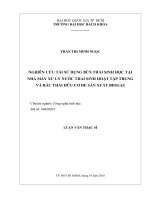 Nghiên cứu tái sử dụng bùn thải sinh học tại nhà máy xử lý nước thải sinh hoạt tập trung và rác thải hữu cơ để sản xuất biogas  