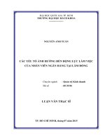 Các yếu tố ảnh hưởng đến động lực làm việc của nhân viên ngân hàng tại lâm đồng  