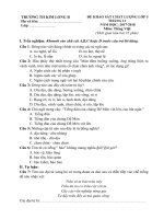 Đề kiểm tra môn Tiếng Việt lớp 5 tháng 11 năm học 2017-2018