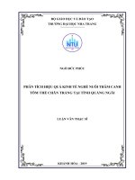 Phân tích hiệu quả kinh tế nghề nuôi thâm canh tôm thẻ chân trắng tại tỉnh quảng ngãi  
