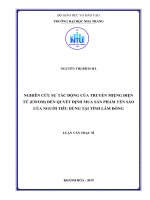 Nghiên cứu sự tác động của truyền miệng điện tử (EWOM) đến quyết định mua sản phẩm yến sào của người tiêu dùng tại tỉnh lâm đồng  