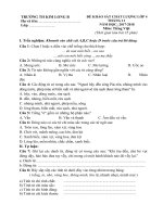 Đề kiểm tra môn Tiếng Việt lớp 4 tháng 11 năm học 2017-2018