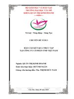 BÁO CÁO KẾT QUẢ THỰC TẬP  QUY TRÌNH BÁNG HÀNG TẠI CÔNG TY CỔ PHẦN TNB VIỆT NAM