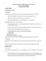 Ngữ văn 9 - Vũ Thành Dũng - Tuần 23-28 tháng 3