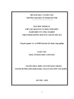 Day hoc modun che tao mach in theo chuan dau ra