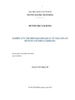 Nghiên cứu chế biến kẹo dẻo jelly từ gelatin có bổ sung vitamin và khoáng  