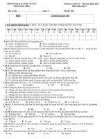 Đề thi học kì 1 môn Hóa học 9 năm 2020-2021 có đáp án - Trường THCS Nam Tiến