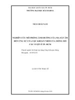 Nghiên cứu mô phỏng ảnh hưởng của ma sát âm đến ứng xử của cọc khoan nhồi của móng mố cầu vượt ở tp  hcm  
