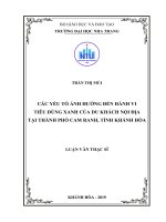 Các yếu tố ảnh hưởng đến hành vi tiêu dùng xanh của du khách nội địa tại TP cam ranh, tỉnh khánh hòa  