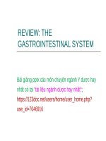 The gastrointestinal system (review) ppt _ ANH VĂN (y dược)
